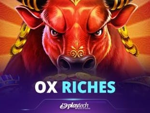 Ox Riches